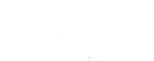 Vital Aire